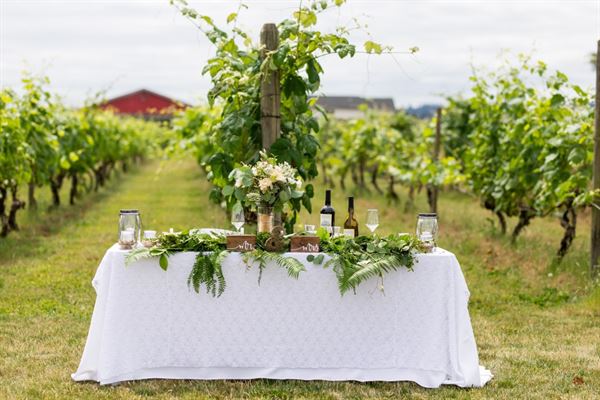 Vinoscenti Vineyards