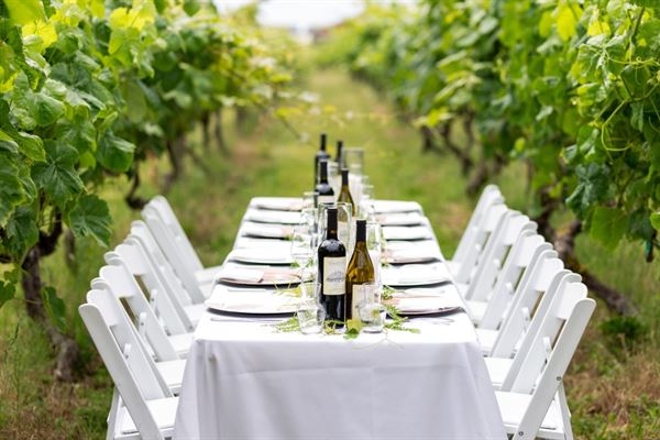 Vinoscenti Vineyards