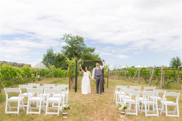 Vinoscenti Vineyards