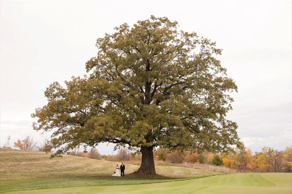 Piper's Heath Golf Club
