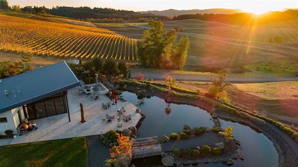 Saffron Fields Vineyard