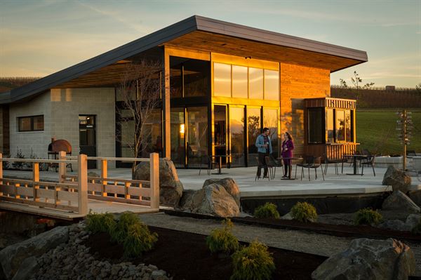 Saffron Fields Vineyard