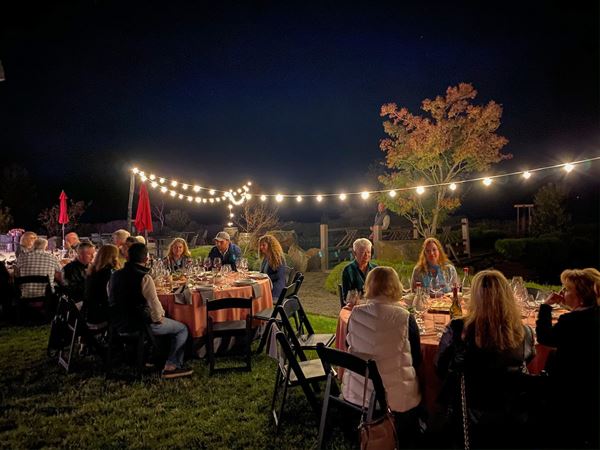 Saffron Fields Vineyard