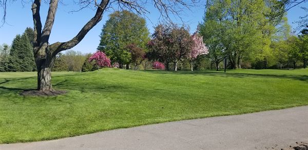 Clifton Springs Country Club