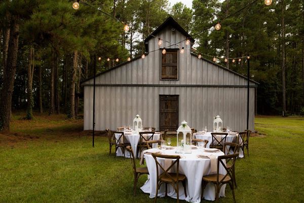 Gregory Farms Vineyard