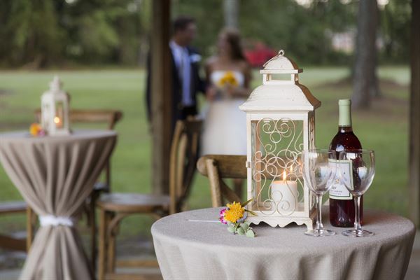 Gregory Farms Vineyard