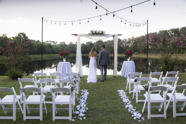 Gregory Farms Vineyard