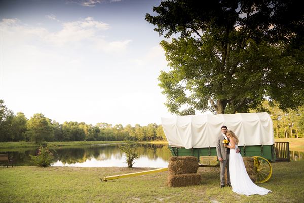 Gregory Farms Vineyard