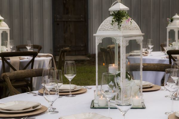 Gregory Farms Vineyard