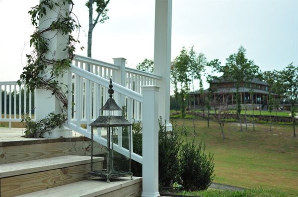 Saudé Creek Vineyards