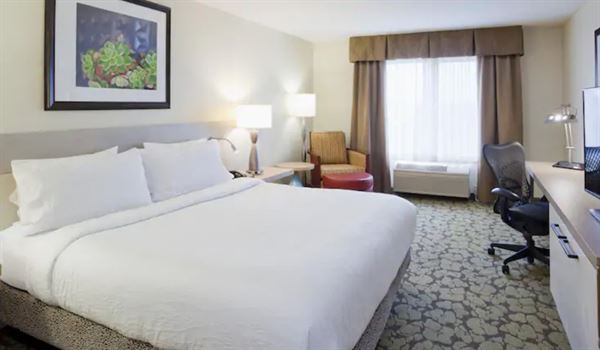 Hilton Garden Inn Minneapolis Eagan