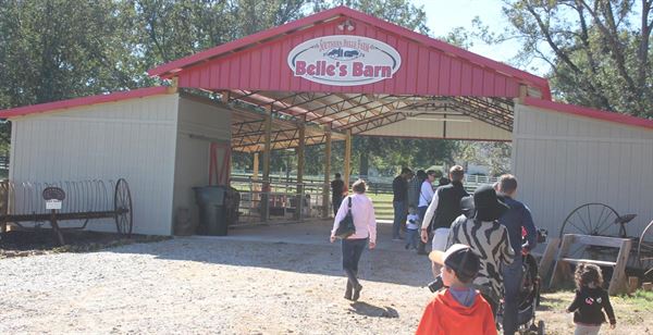 Southern Belle Farms