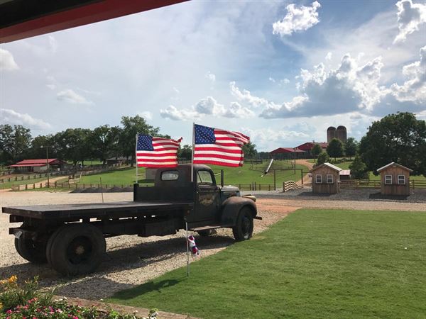 Southern Belle Farms