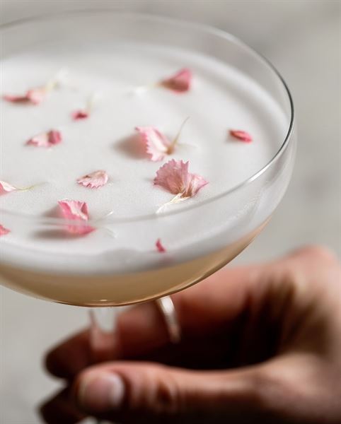 Marcey Brownstein Catering & Events