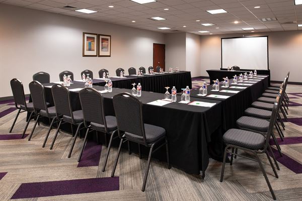 Holiday Inn & Suites Beaumont Plaza