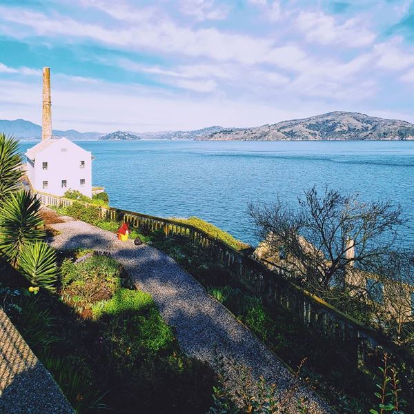 Alcatraz Excursions