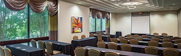 Holiday Inn Austin Town Lake