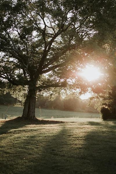 Gore Creek Wedding Venue