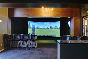 Indoor Golf Simulators