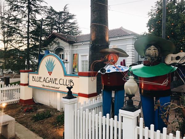 Blue Agave Club