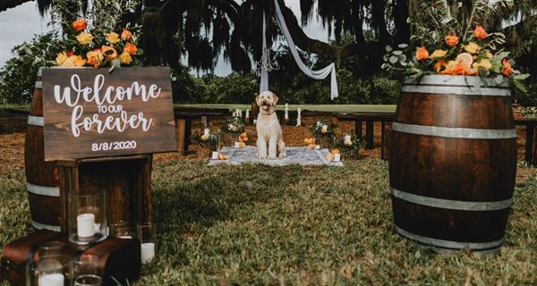 Goldenbear Event Rentals