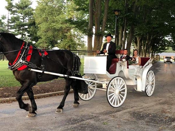 The University Club at Arlington