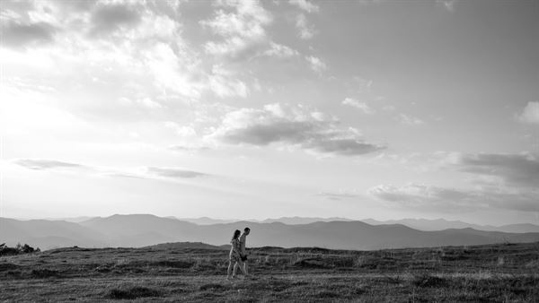 Nick Levine Photography