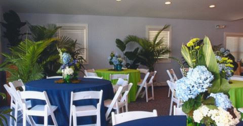 VIA Weddings & Events