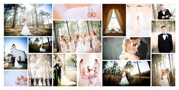 Tonya Beaver Photography