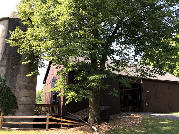 The Barn at Sandy Knoll