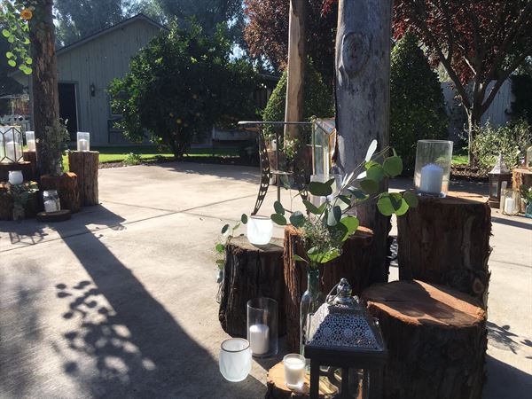 Victorian Gardens Of Two Sisters