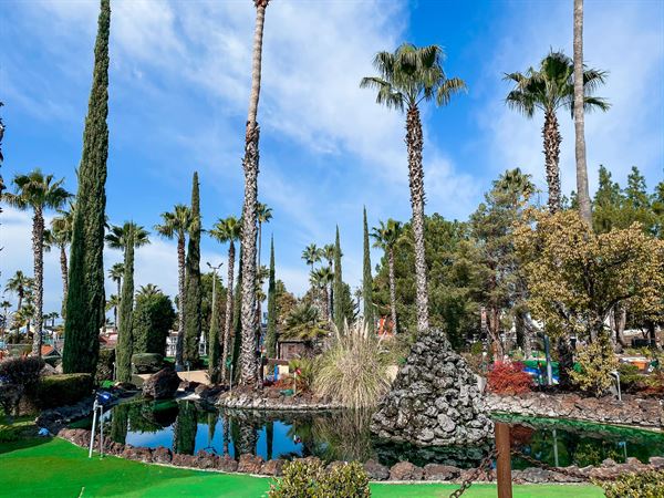 Blackbeard's Family Entertainment Center