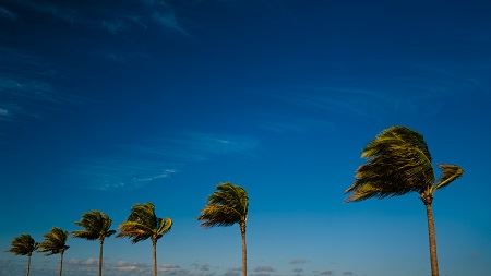 Michael Freas Wedding Photography