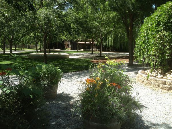 Weddings at The Grove