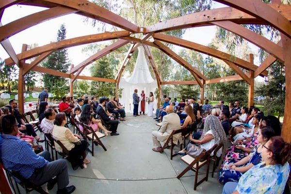 Starlight Grove Events