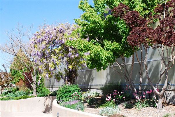 Western Colorado Botanical Gardens & Butterfly House