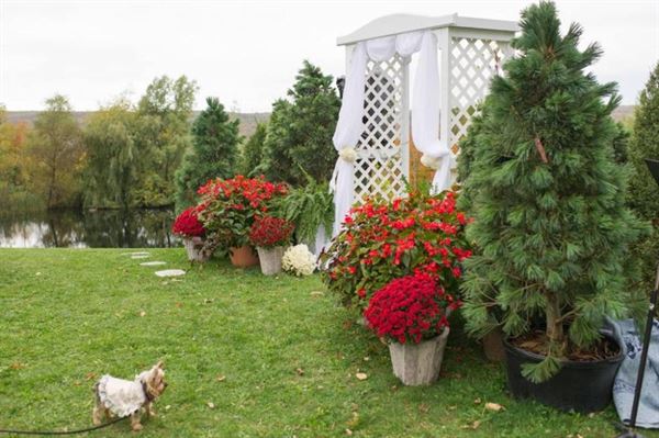 Pretty River Valley Country Inn