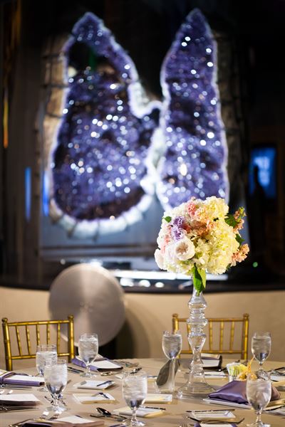 Perot Museum of Nature and Science