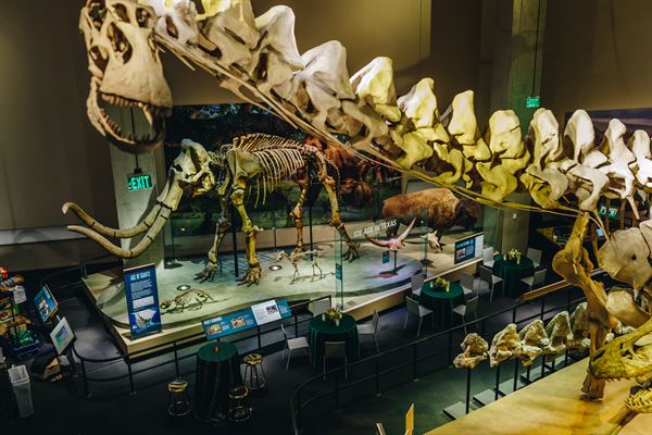 Perot Museum of Nature and Science