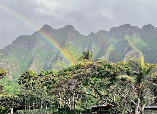 Kualoa Ranch - Paliku Gardens