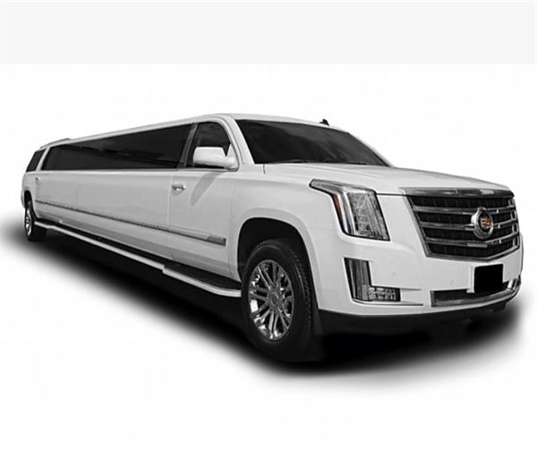 Twilight Party Bus And Limousine Network