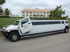 Thoroughbred Limousine
