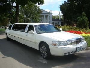 Thoroughbred Limousine