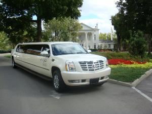 Thoroughbred Limousine