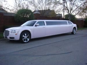Thoroughbred Limousine