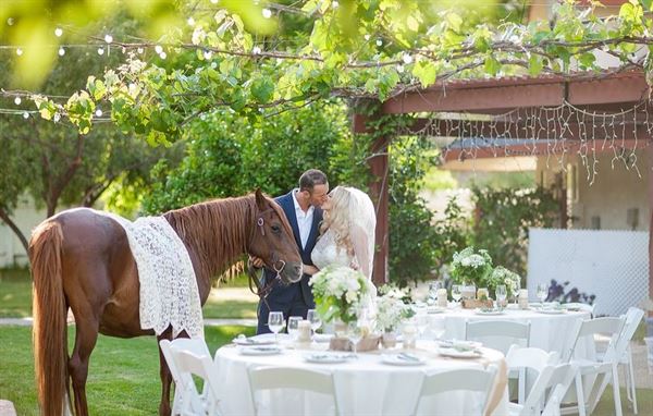 Rustic Gardens Oasis