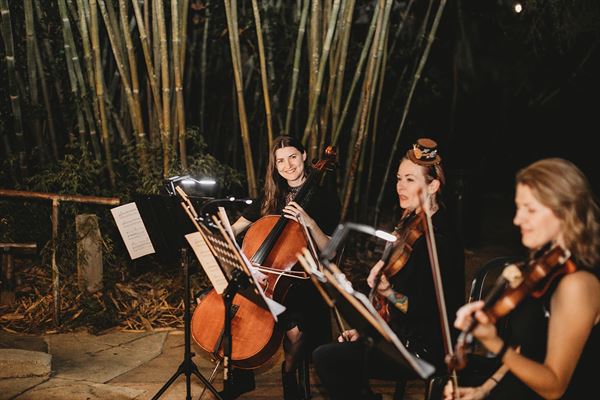 Adagio Weddings Strings