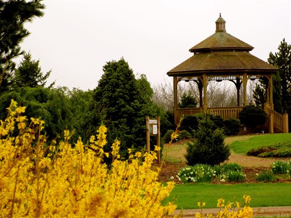 Iowa Arboretum