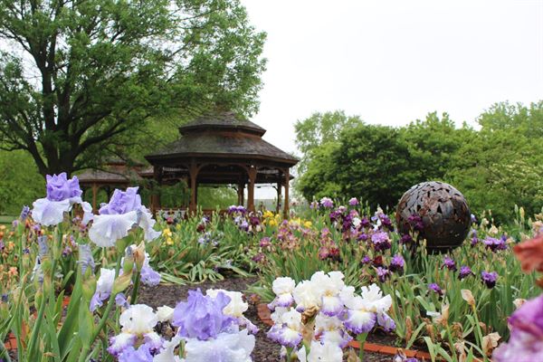 Iowa Arboretum