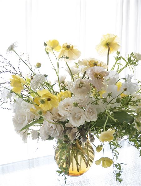 Bridget Vizoso Design